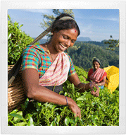 Micro-Loans for Women