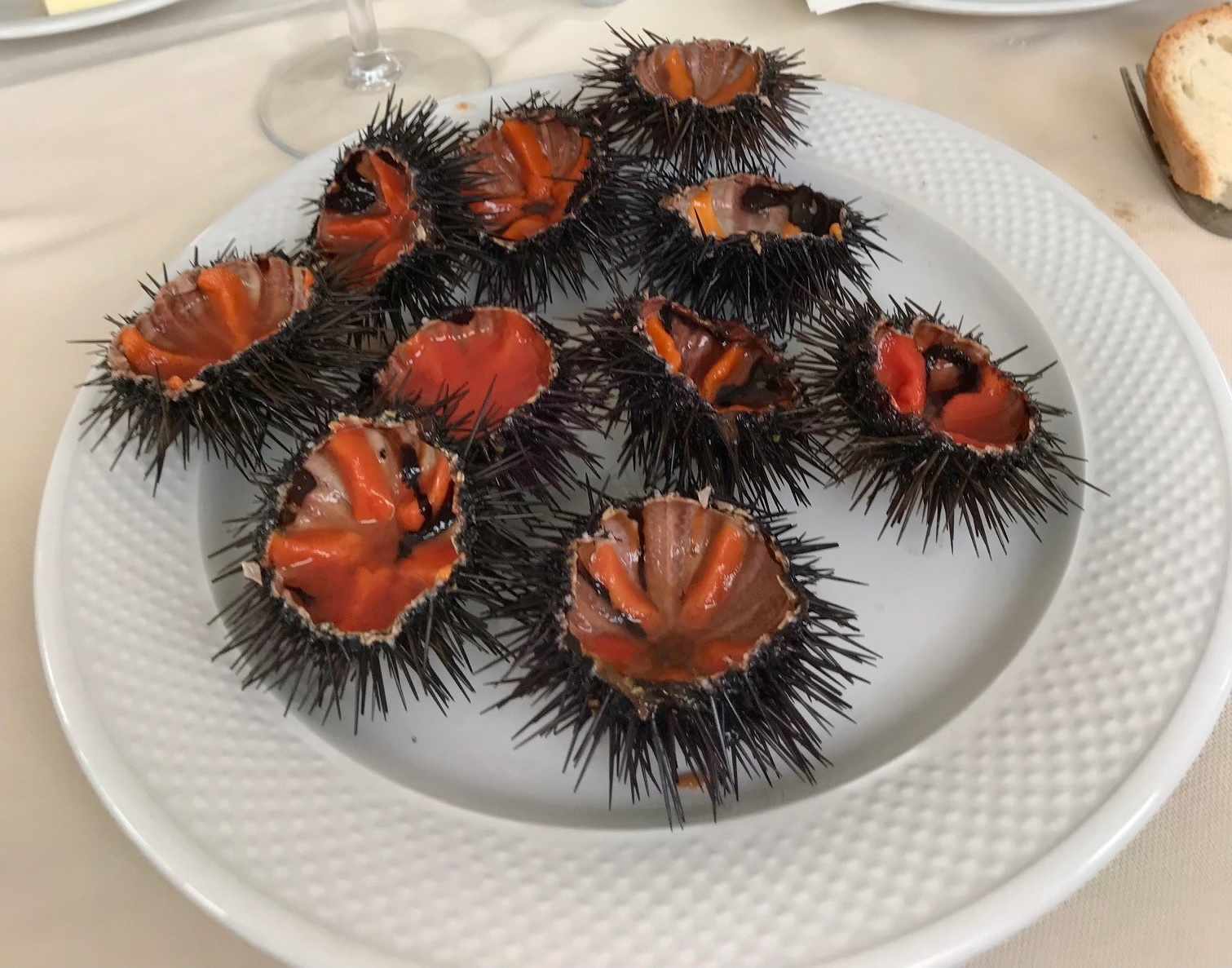 sea_urchin_prepared_by_lyndey_milan