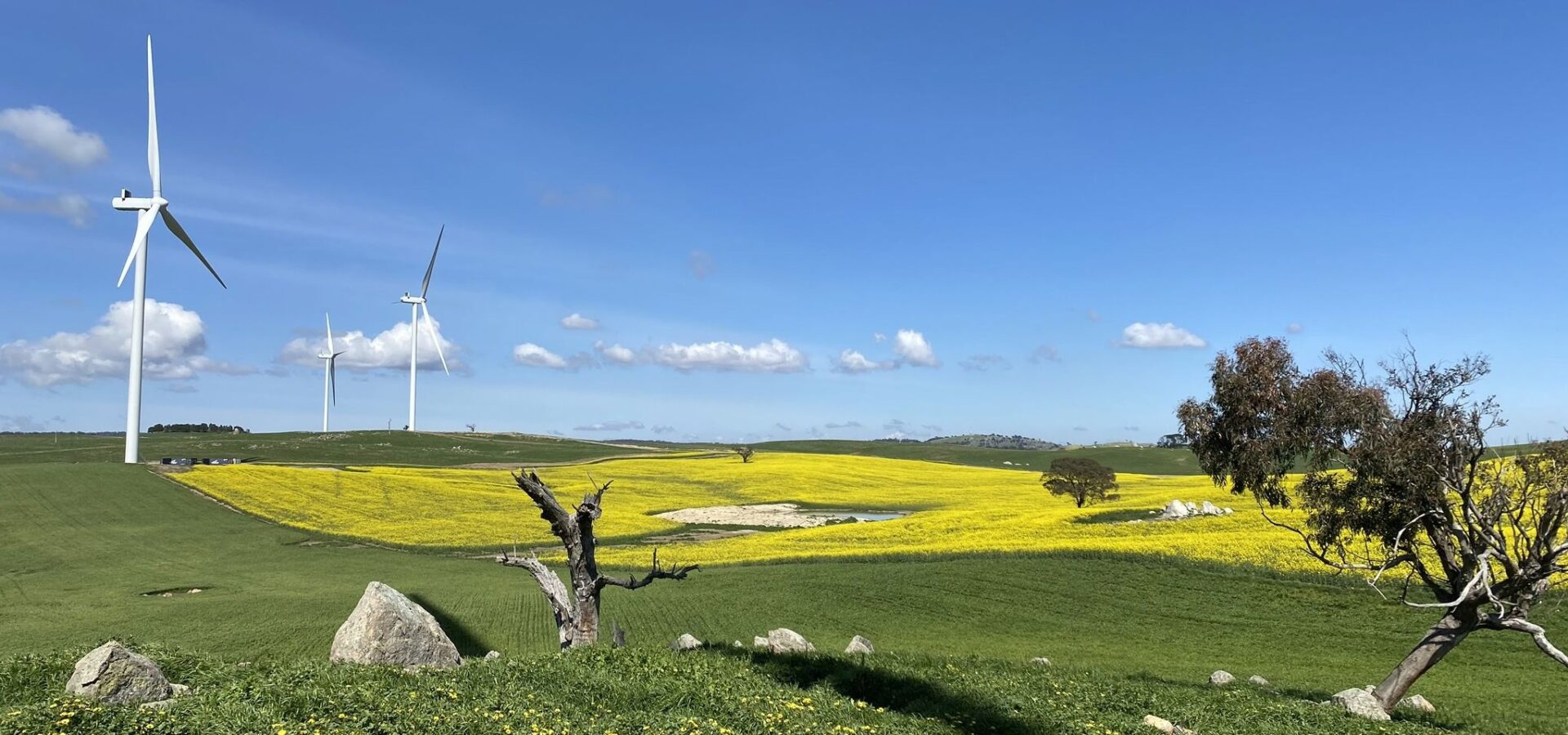 Collector Wind Farm Collector Wind Farm