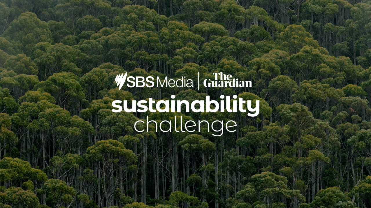 SBS Media and The Guardian - Sustainability Challenge