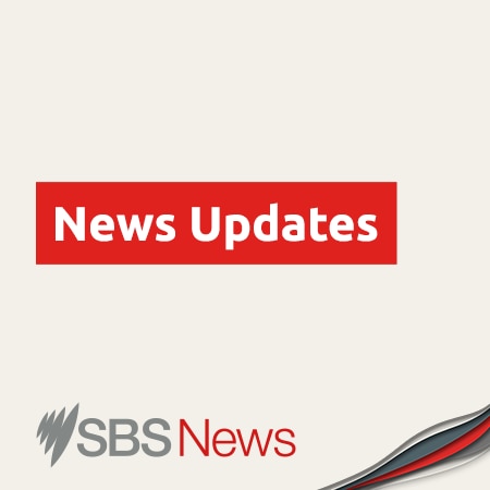 SBS News Update
