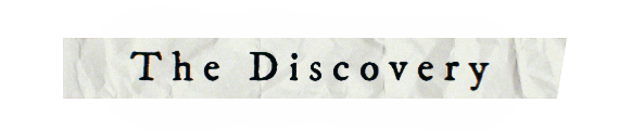 The Discovery
