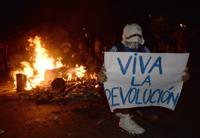 6986_10.-brazil-protest-viva-la-revolucion.jpg