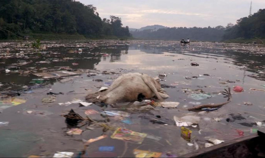 Toxic River SBS News