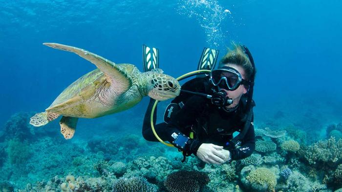 great-barrier-reef_-_aap.jpg?itok=PX3bH67x&mtime=1493875626